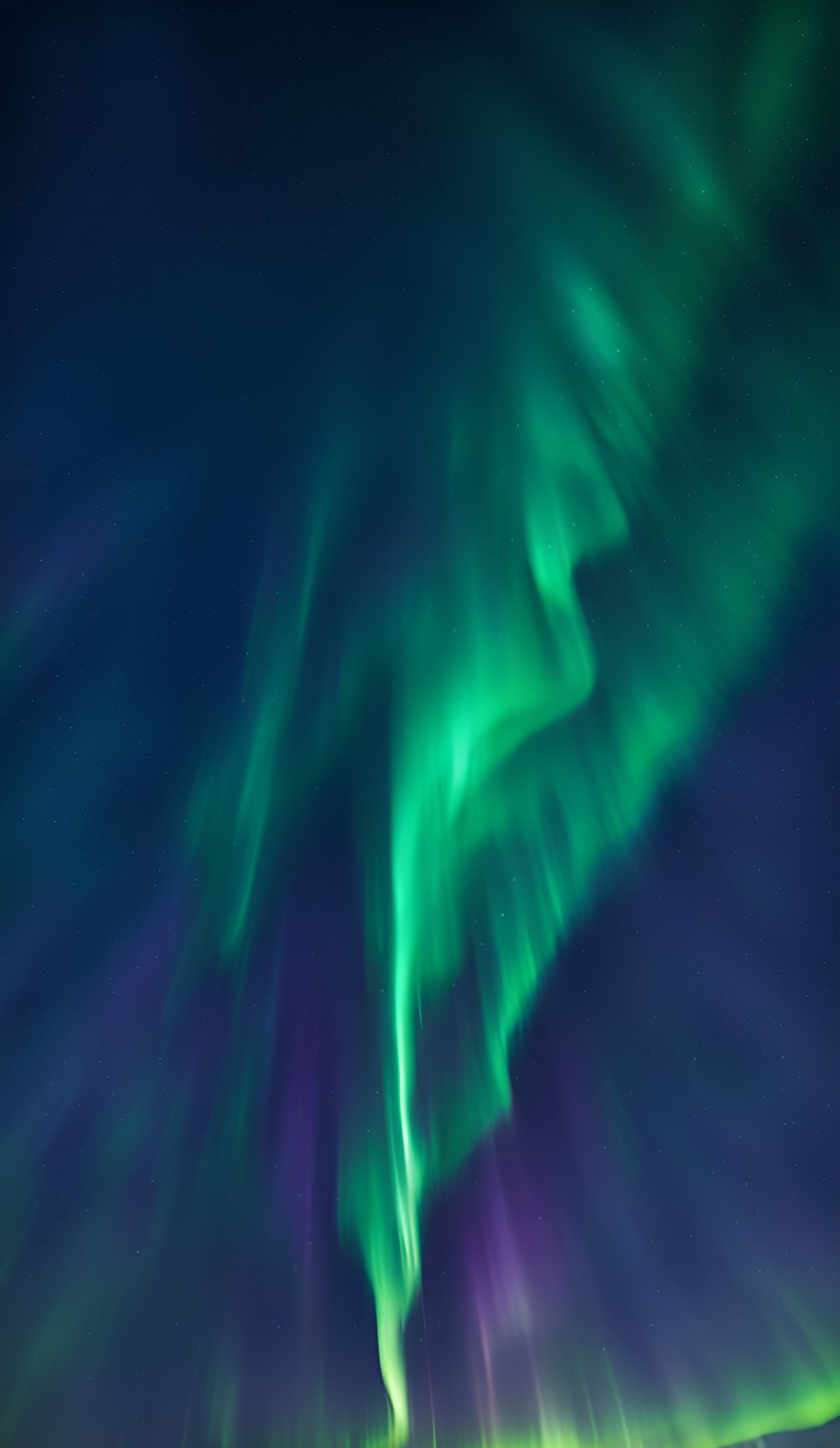 Calgary Northern Lights