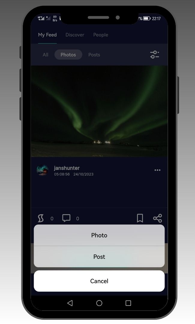 Muskoka Northern Lights